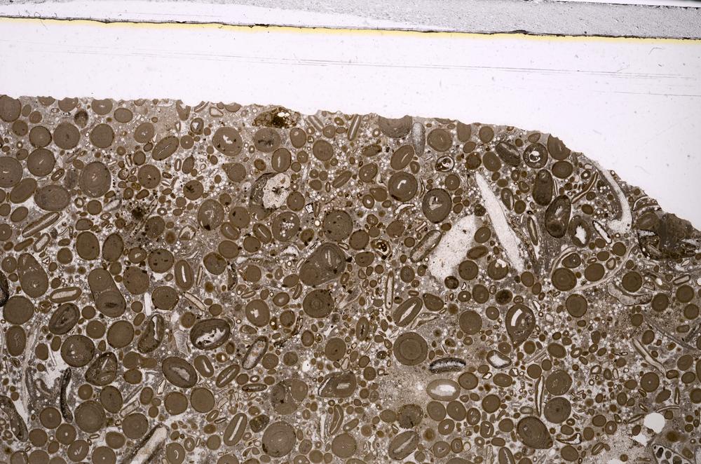 Plane Polarized, E46719