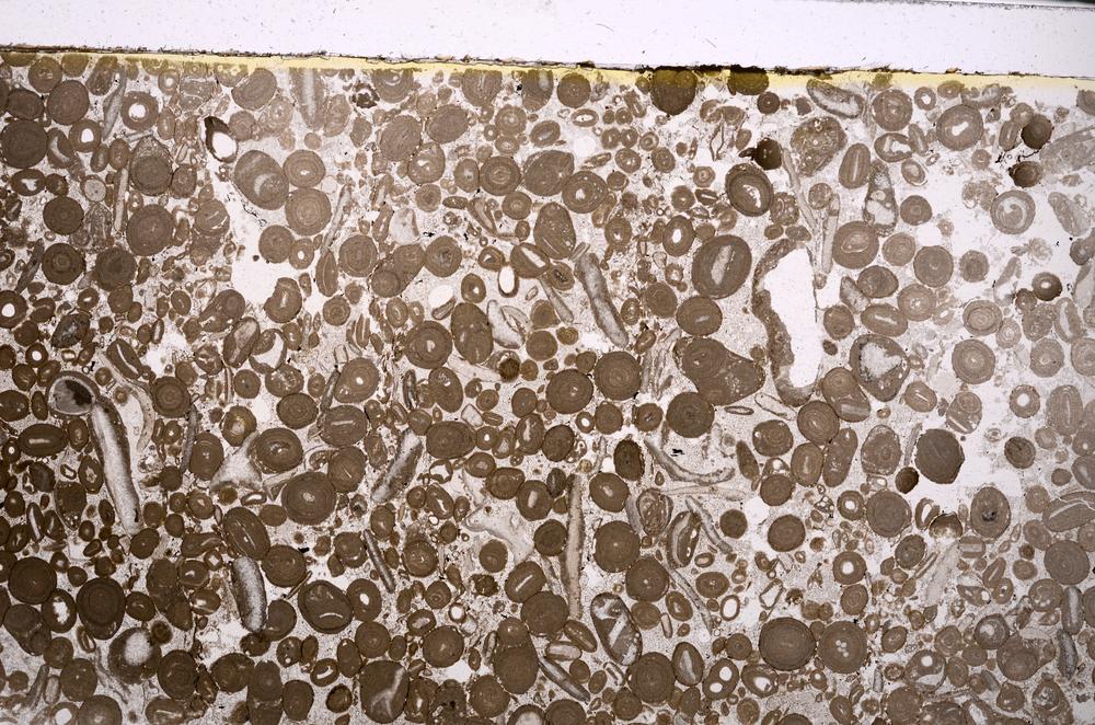 Plane Polarized, E46721