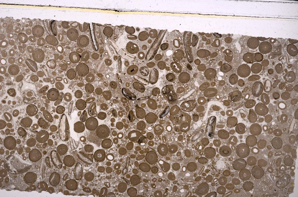 Plane Polarized, E46724