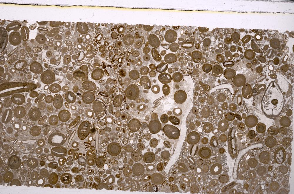 Plane Polarized, E46728