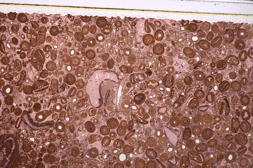 Plane Polarized, E46730