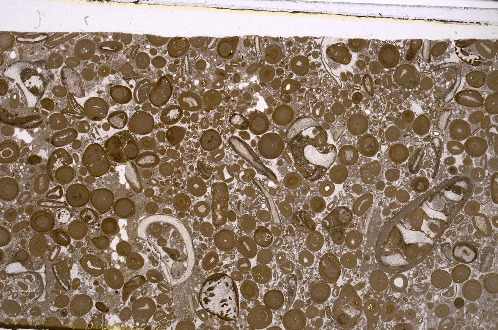 Plane Polarized, E46739