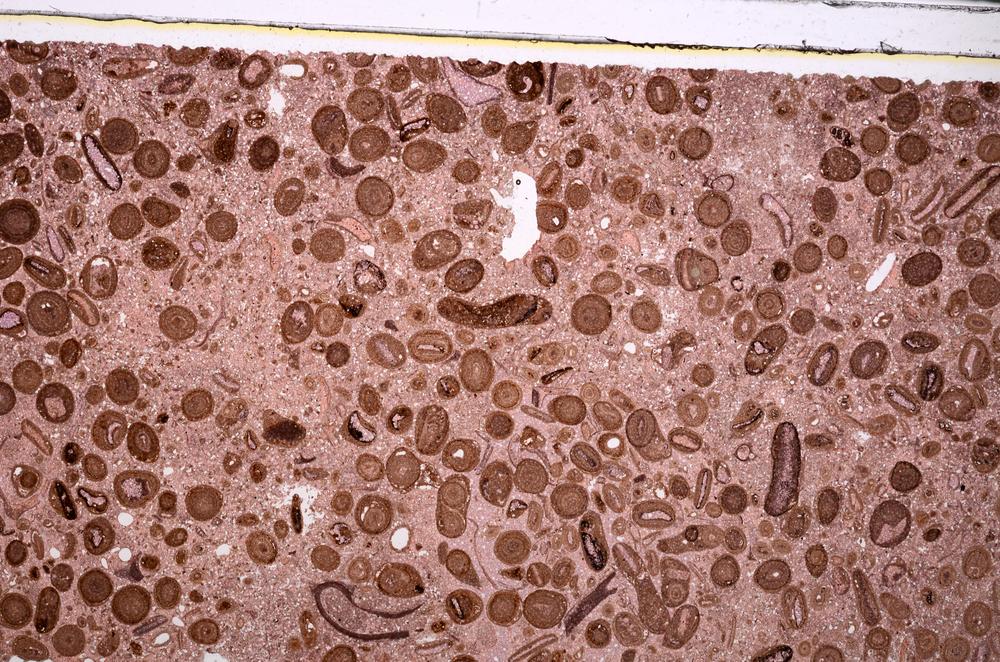 Plane Polarized, E46743