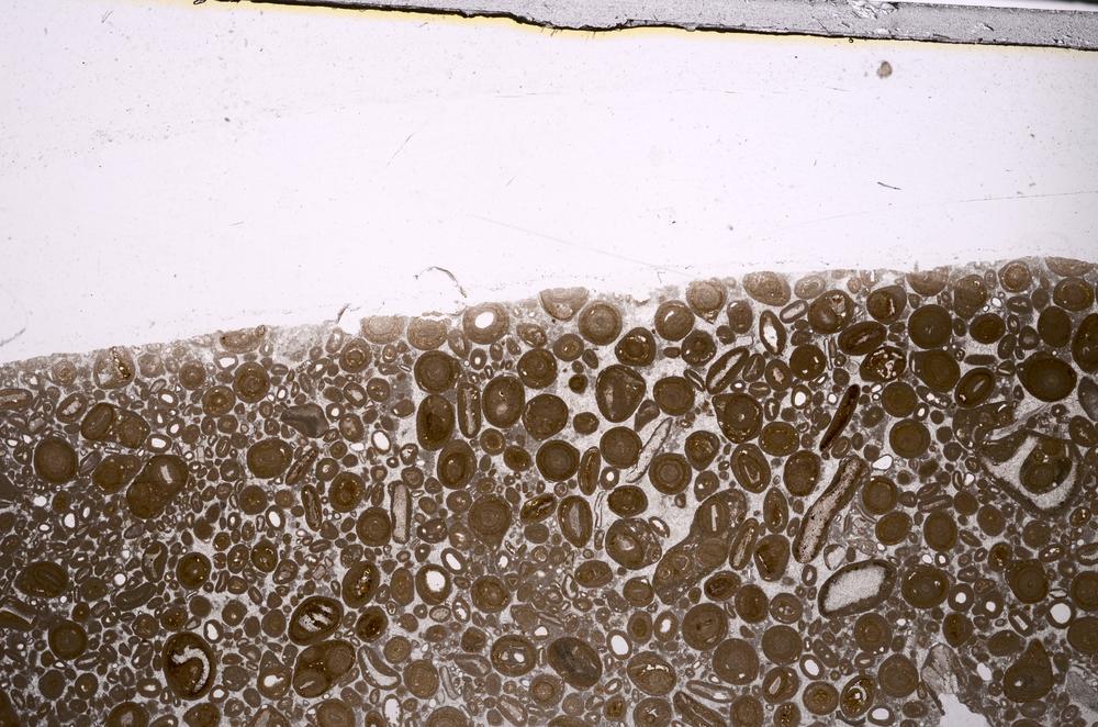 Plane Polarized, E46747