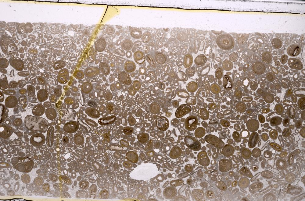 Plane Polarized, E46748