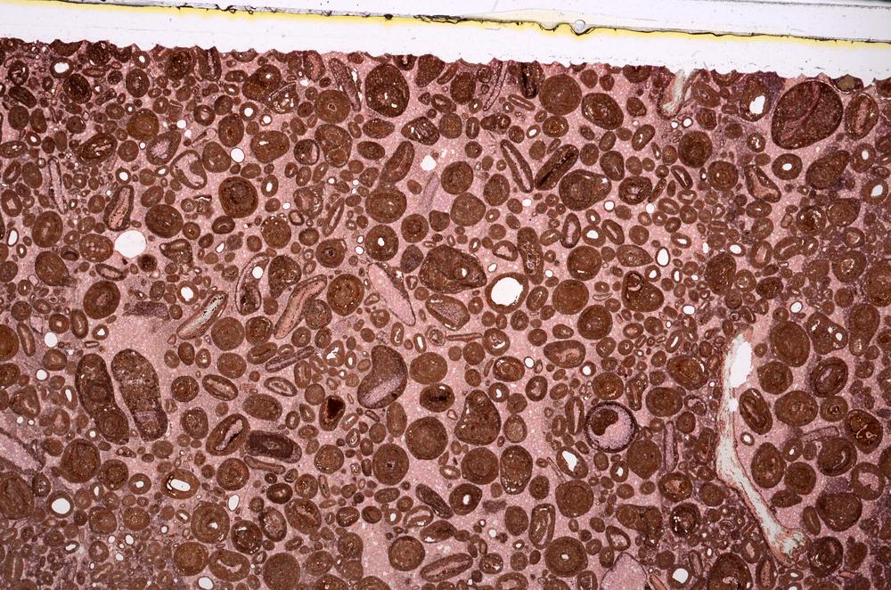 Plane Polarized, E46750