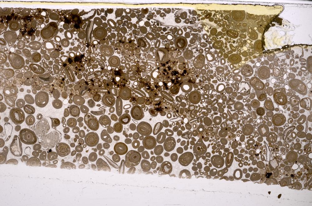 Plane Polarized, E46752