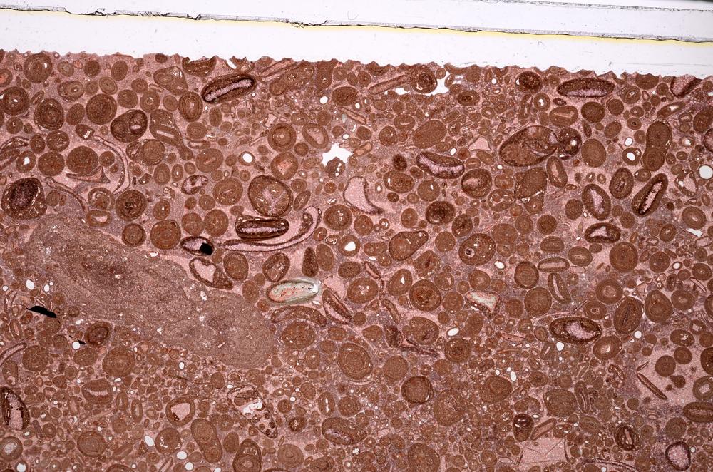 Plane Polarized, E46756