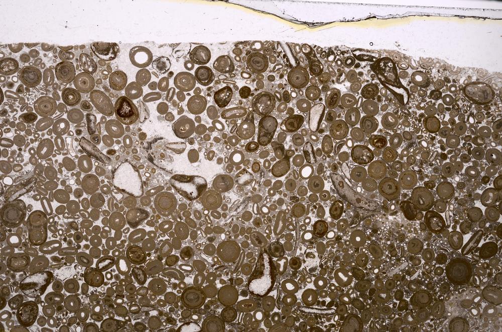 Plane Polarized, E46757