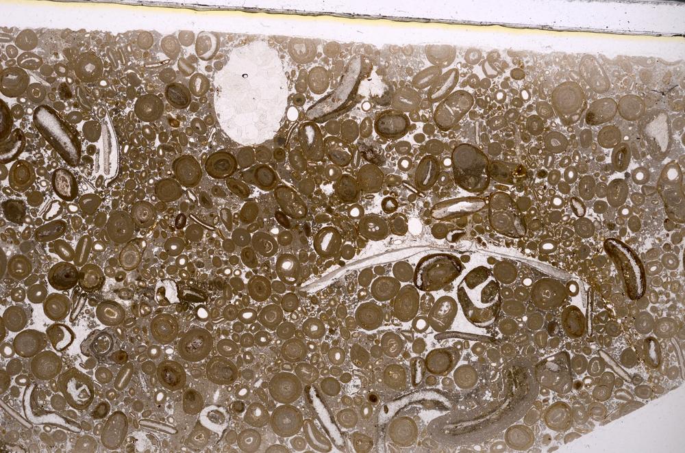 Plane Polarized, E46758