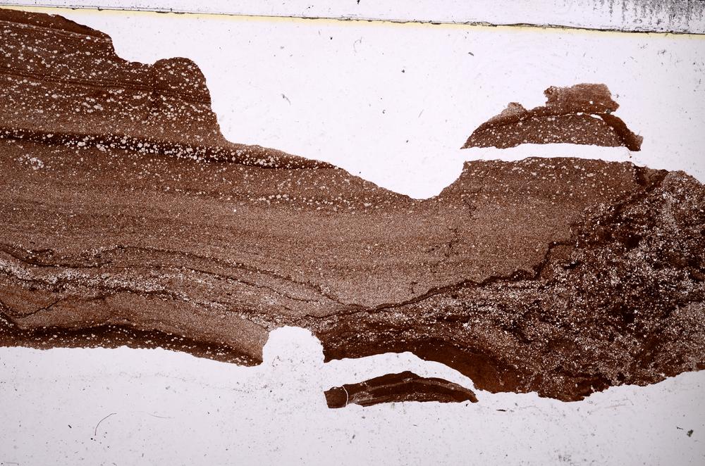 Plane Polarized, E46801