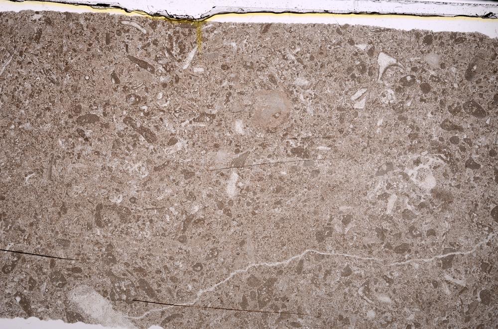 Plane Polarized, E46811/A