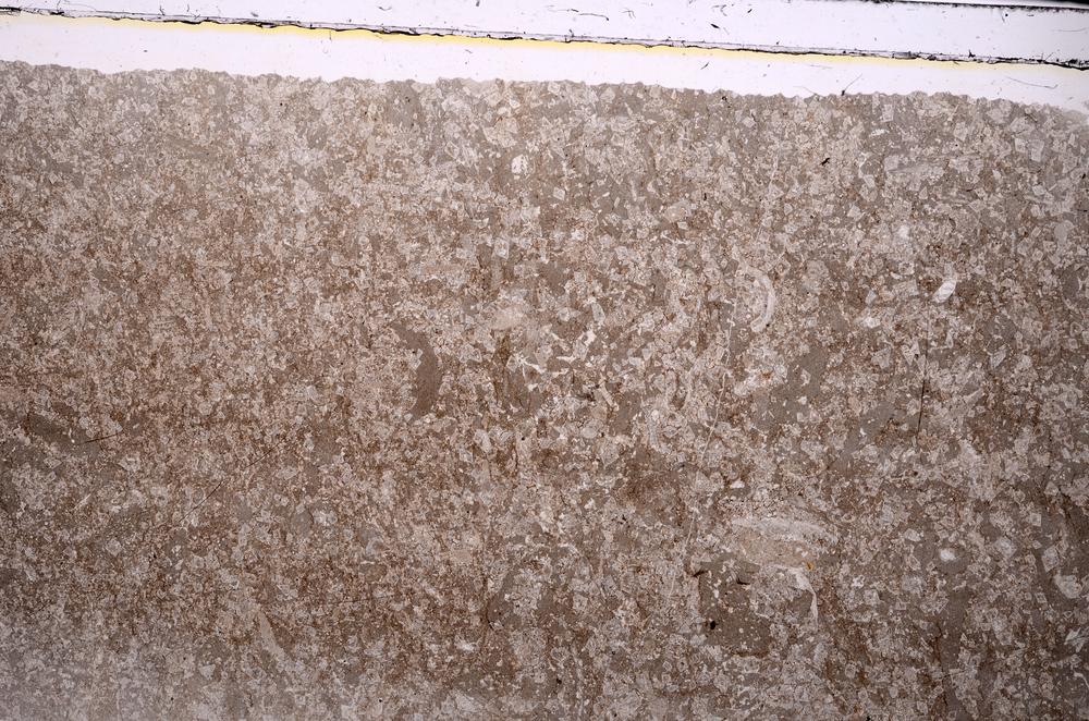 Plane Polarized, E46811/B