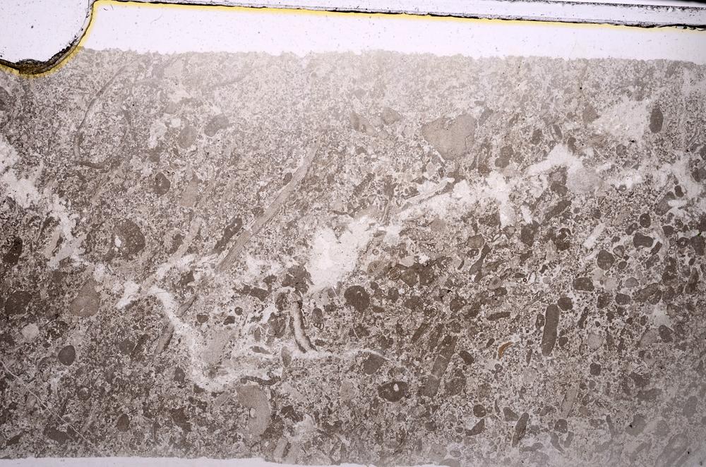 Plane Polarized, E46817