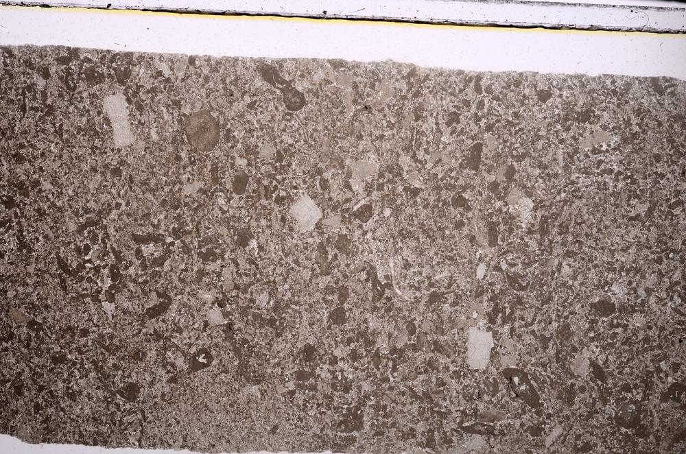 Plane Polarized, E46818