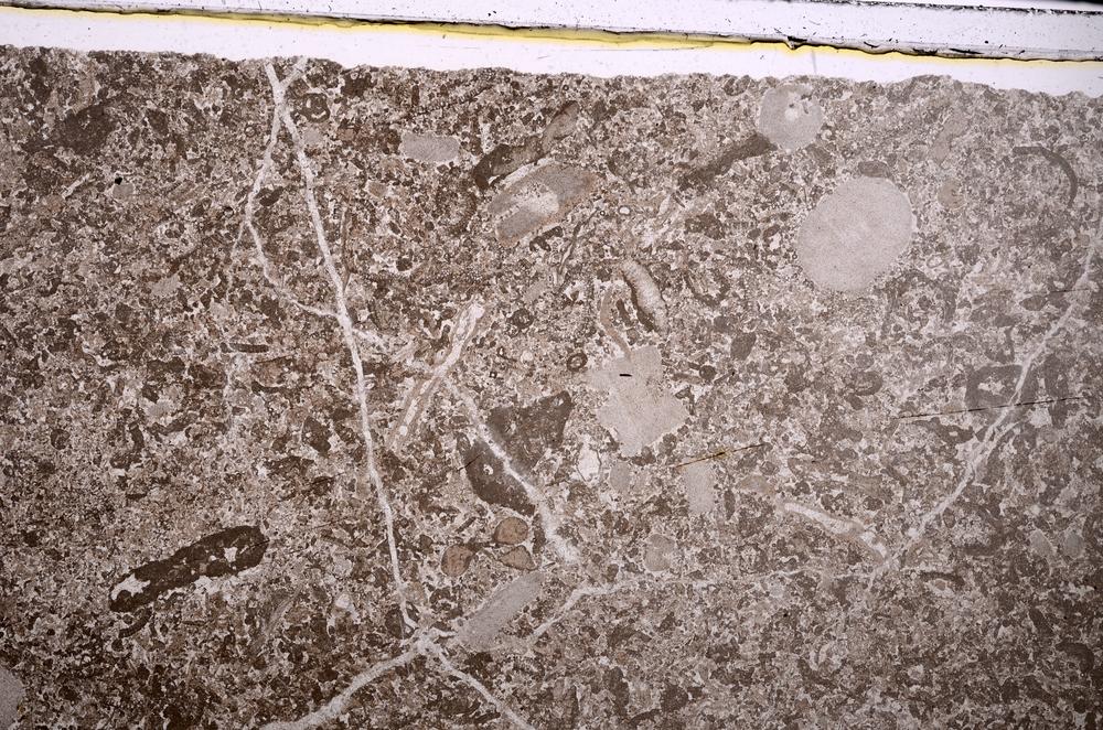 Plane Polarized, E46821