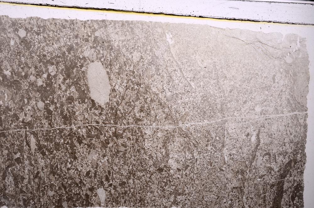 Plane Polarized, E46830