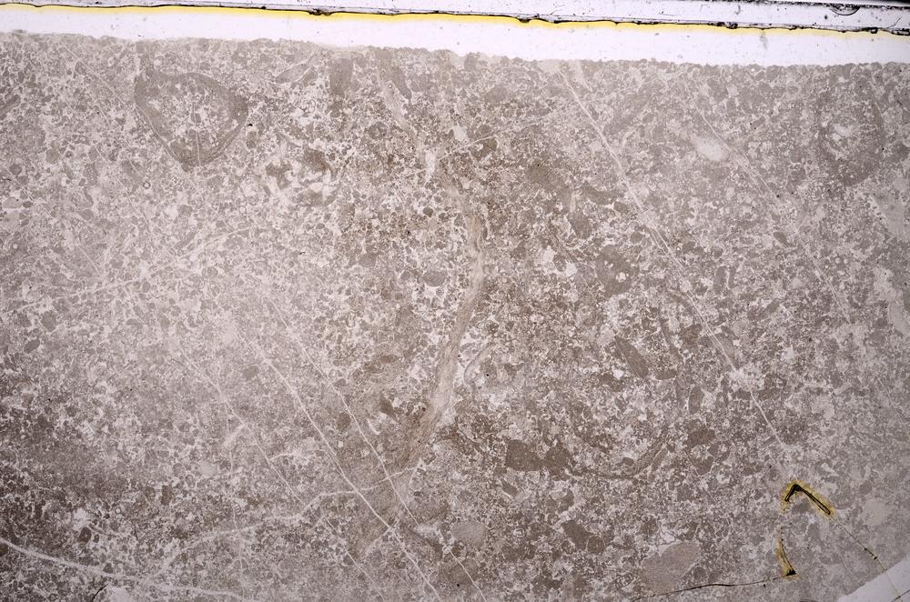 Plane Polarized, E46831