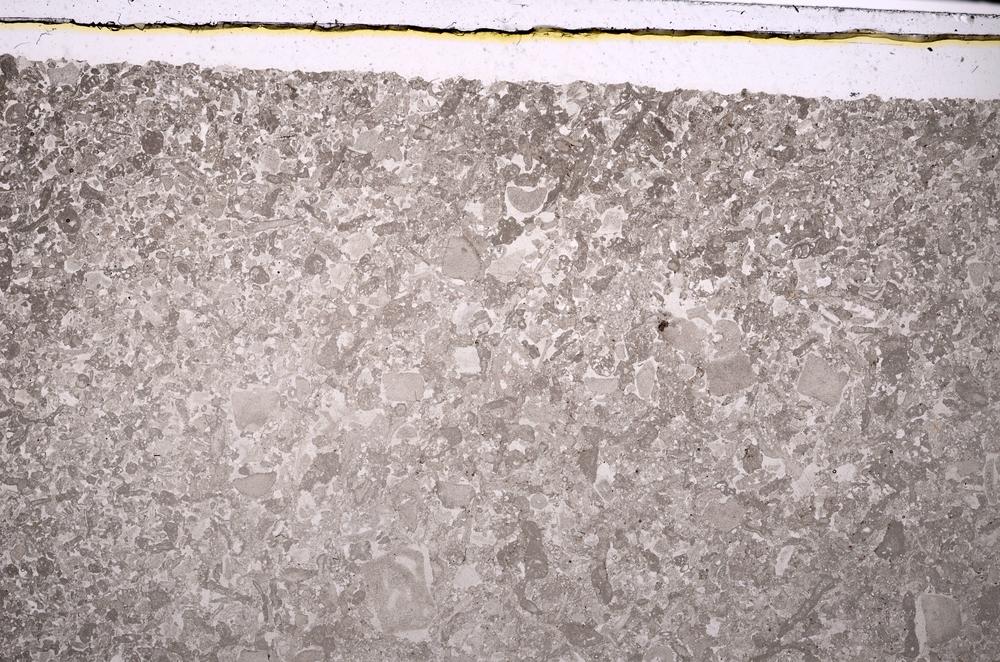 Plane Polarized, E46832/A