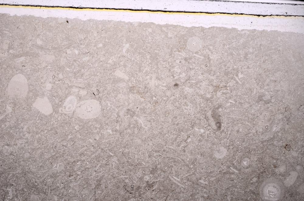 Plane Polarized, E46832/B