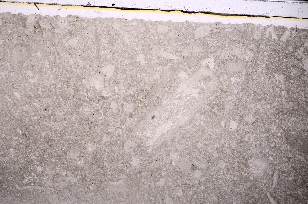 Plane Polarized, E46833/B