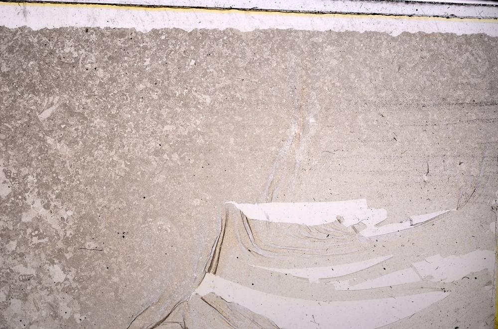 Plane Polarized, E46835