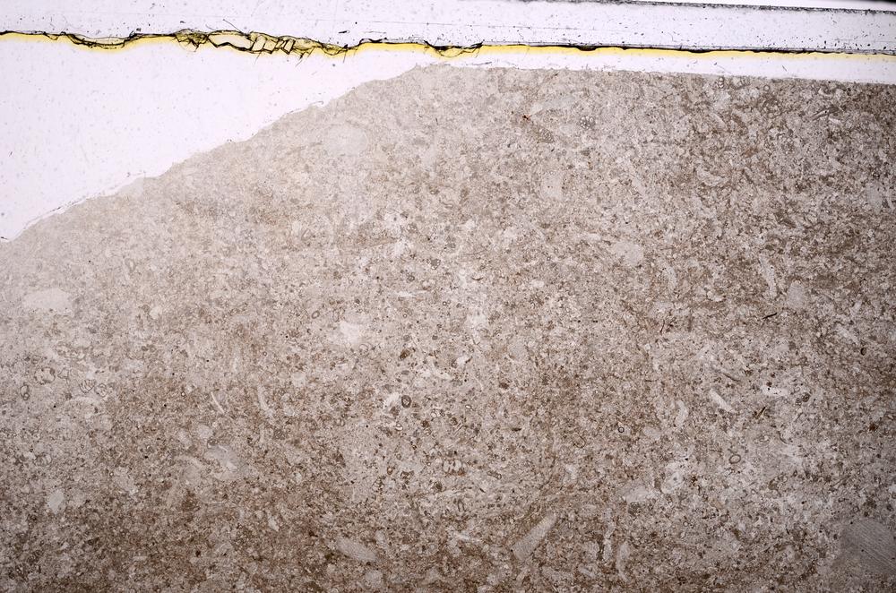 Plane Polarized, E46836