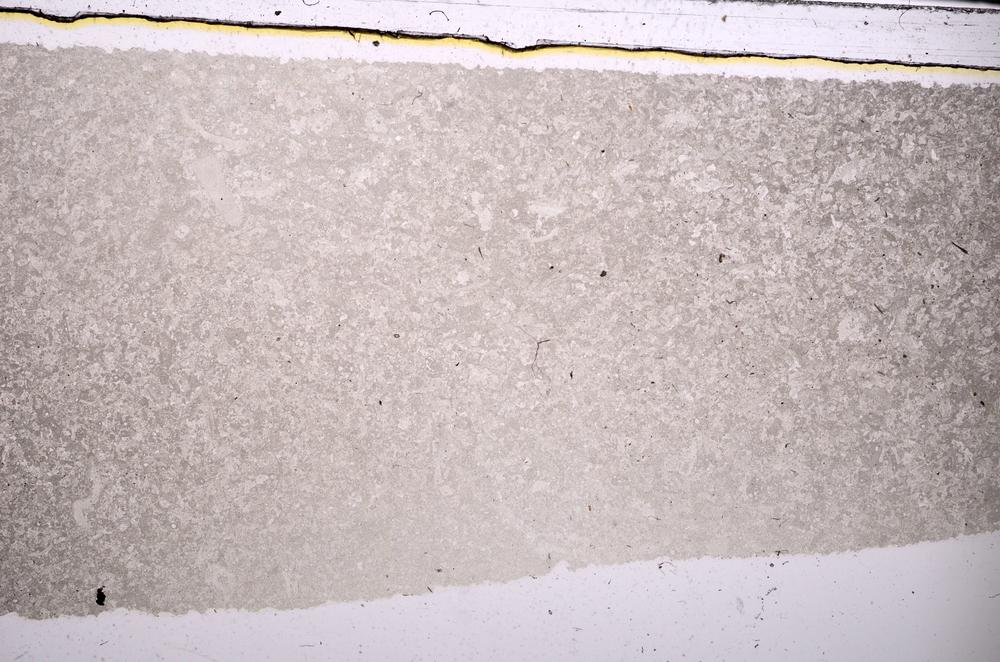 Plane Polarized, E46838