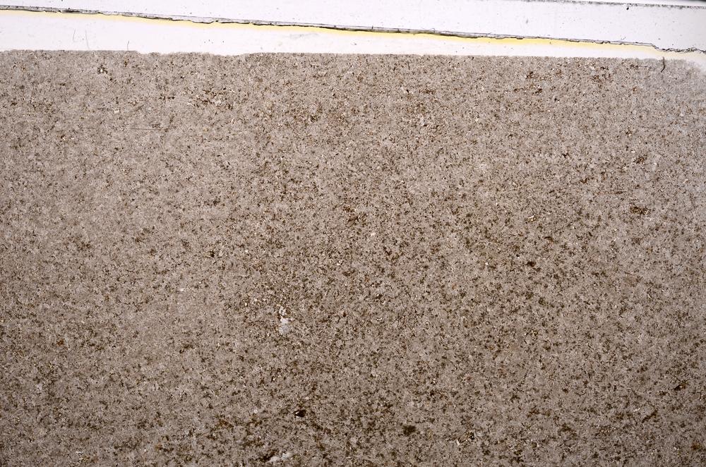 Plane Polarized, E46869