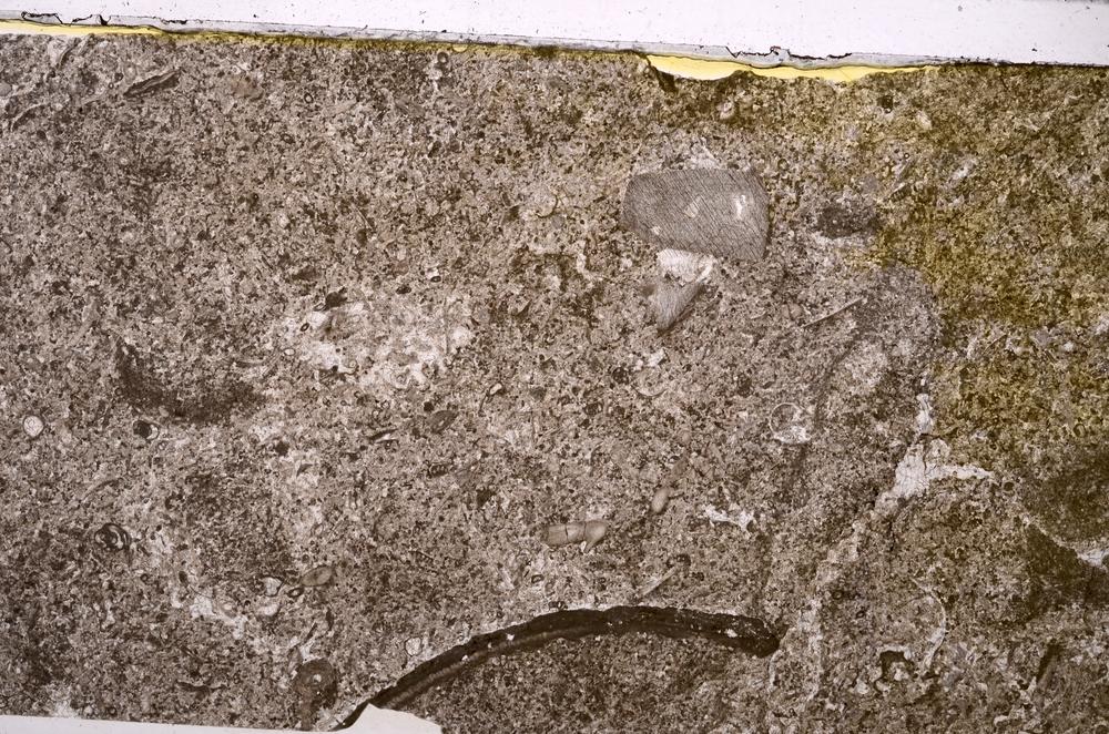 Plane Polarized, E46872