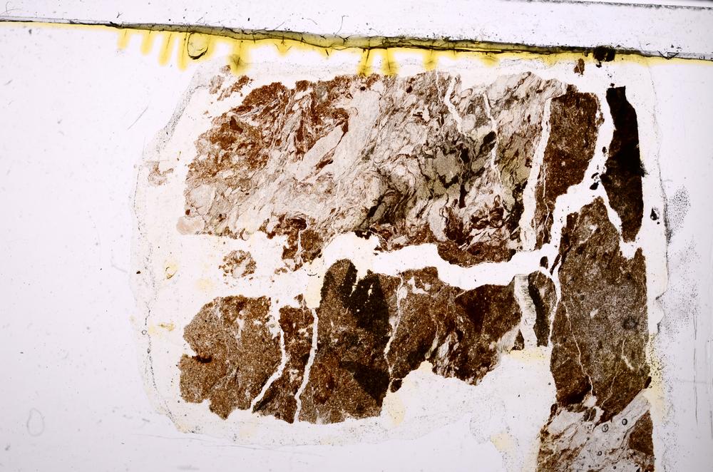 Plane Polarized, E46914/A