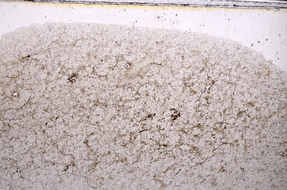 Plane Polarized, E47033