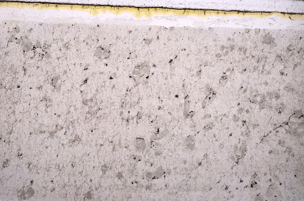 Plane Polarized, E47072