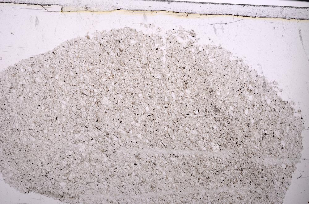 Plane Polarized, E47140