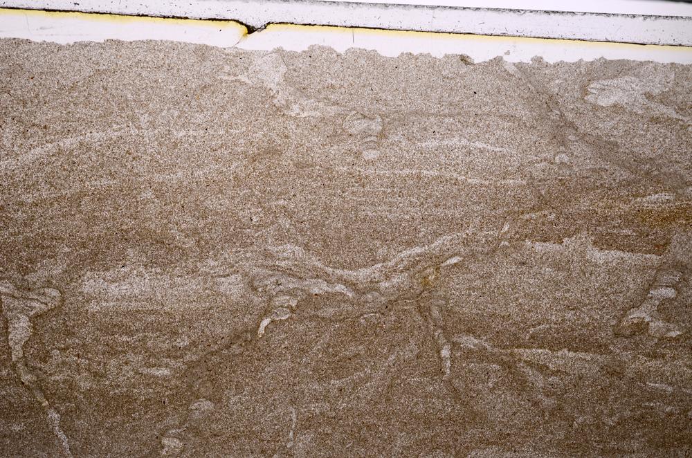 Plane Polarized, E47168