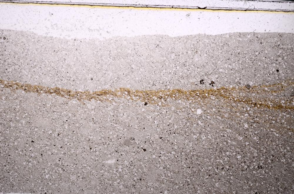 Plane Polarized, E47181