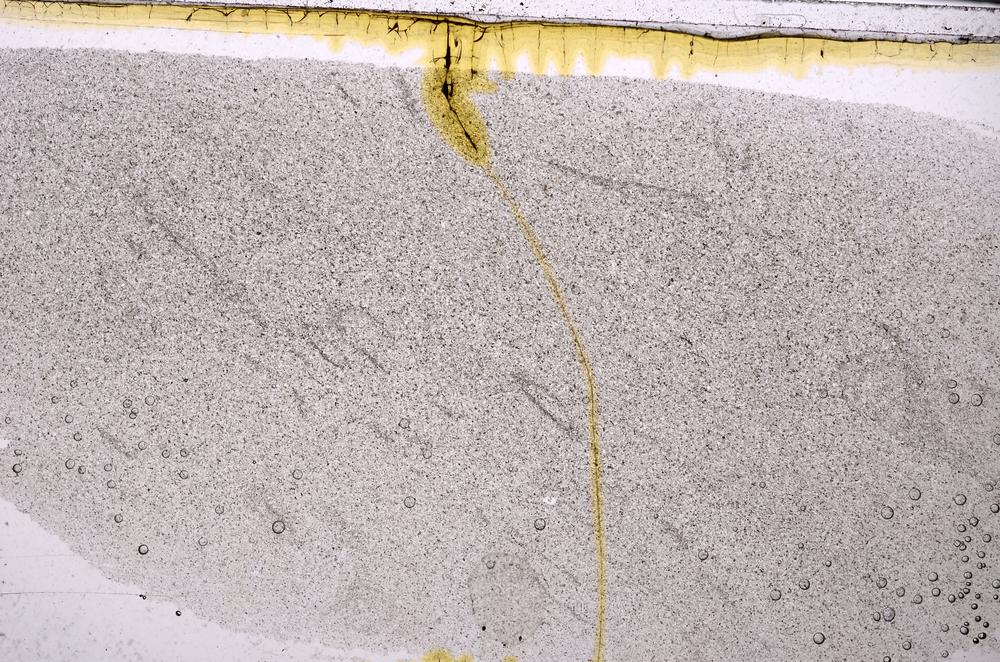 Plane Polarized, E47184