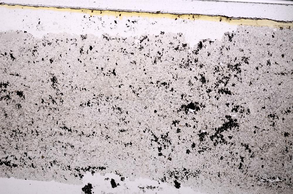 Plane Polarized, E47190