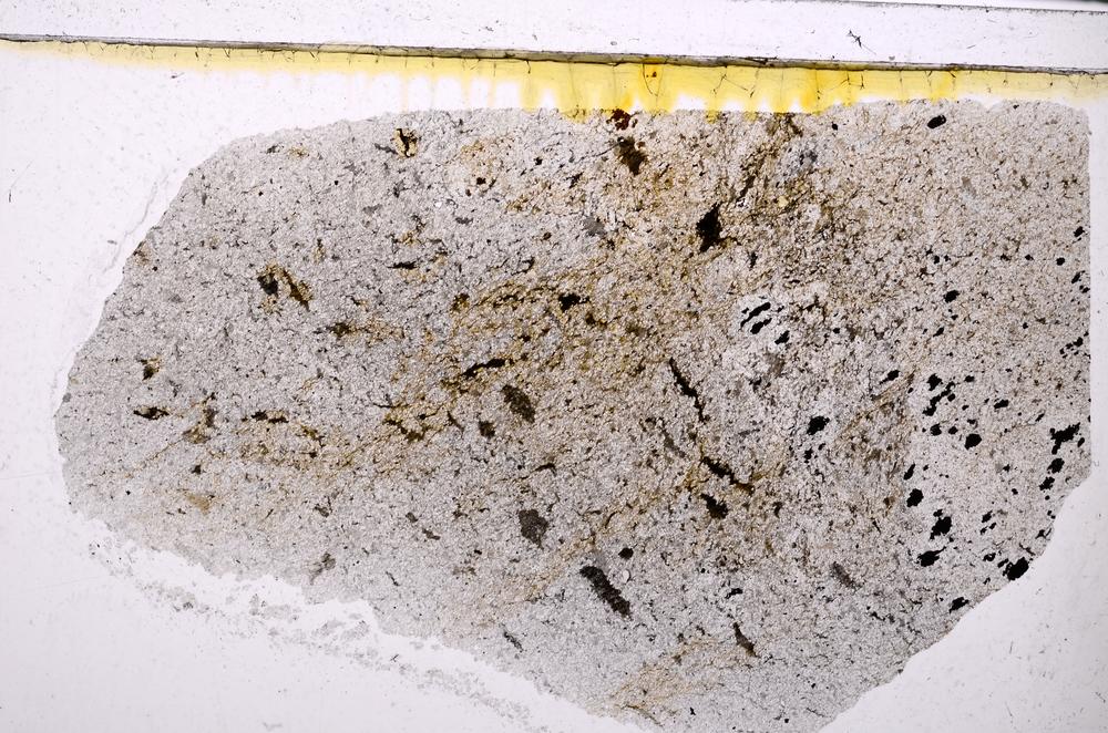 Plane Polarized, E47192