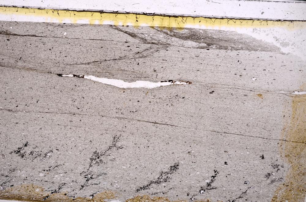 Plane Polarized, E47194