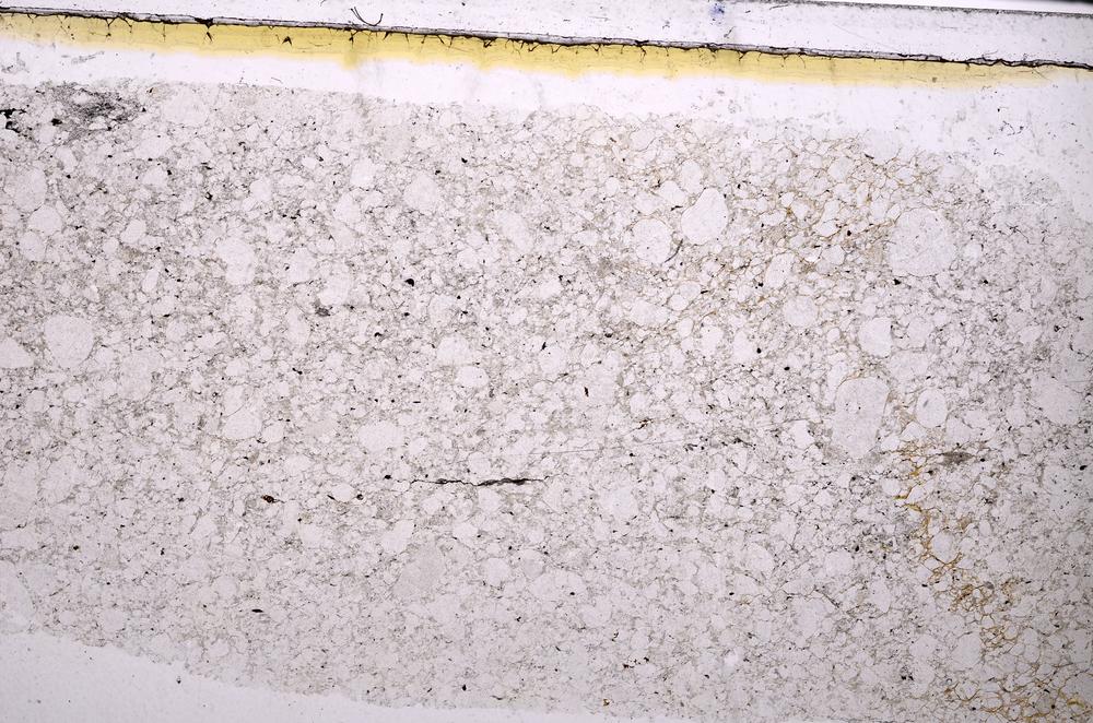 Plane Polarized, E47195