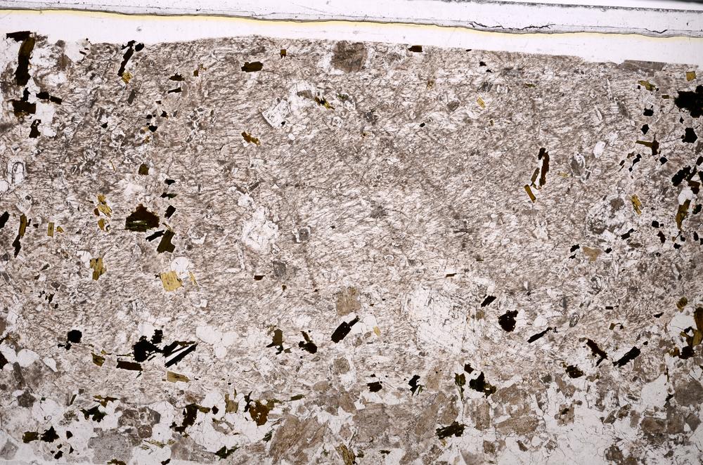 Plane Polarized, E47226