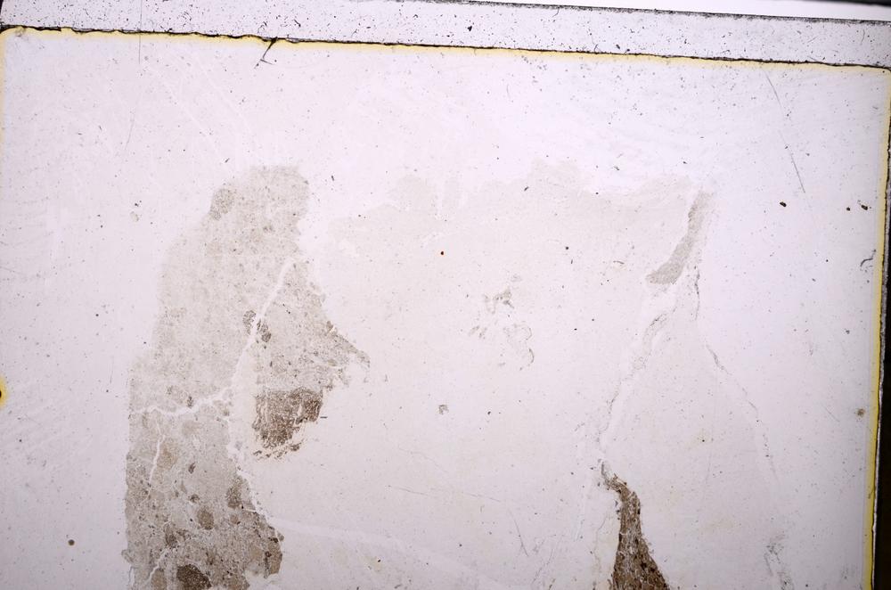 Plane Polarized, E47284/B