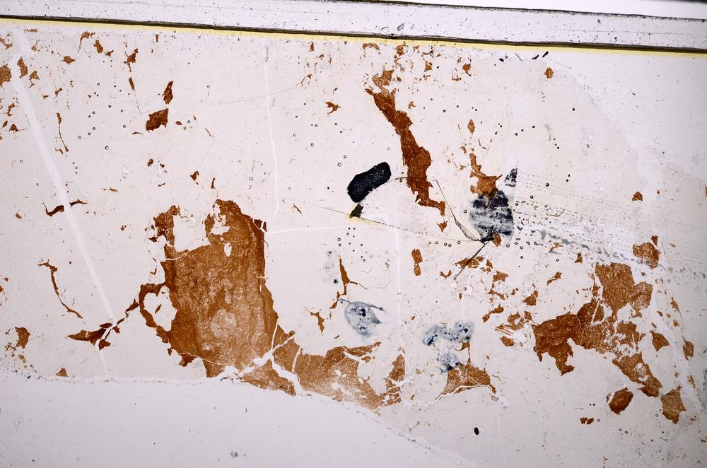 Plane Polarized, E47286