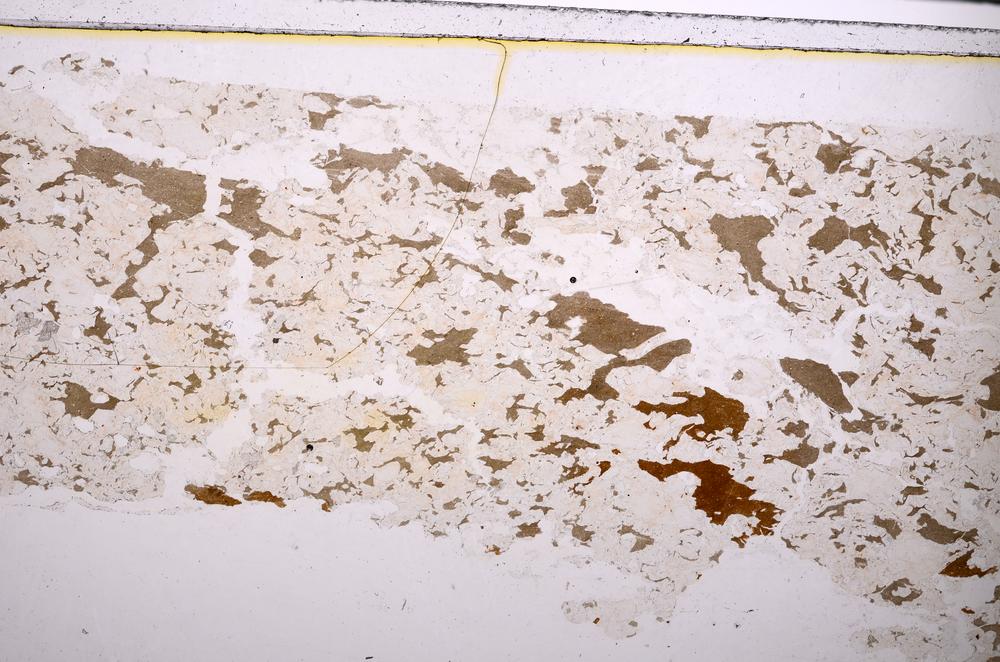 Plane Polarized, E47287/A