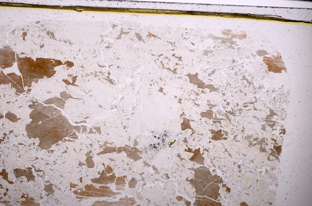 Plane Polarized, E47287/B