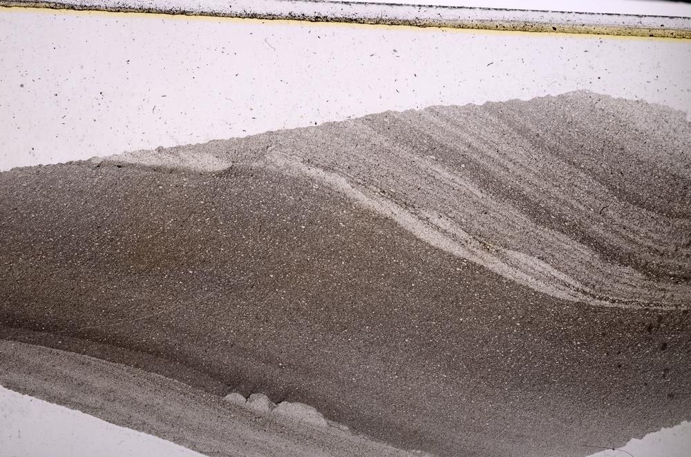 Plane Polarized, E47315