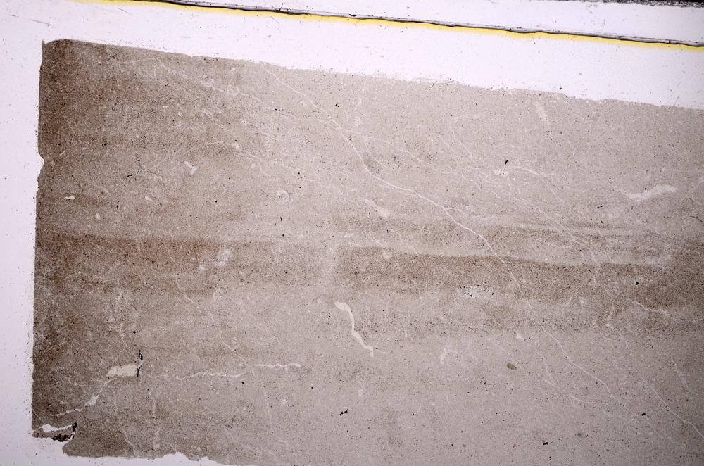 Plane Polarized, E47359