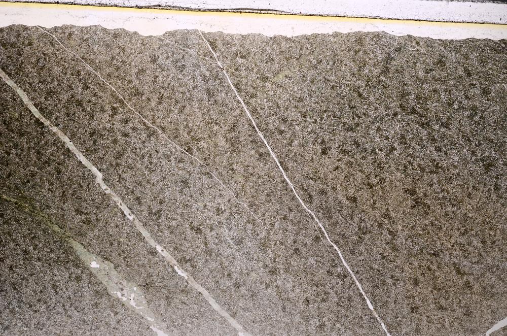 Plane Polarized, E47398/A