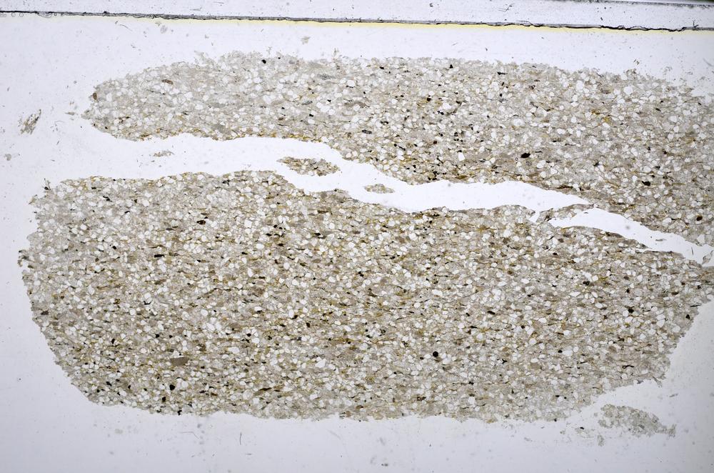 Plane Polarized, E47441